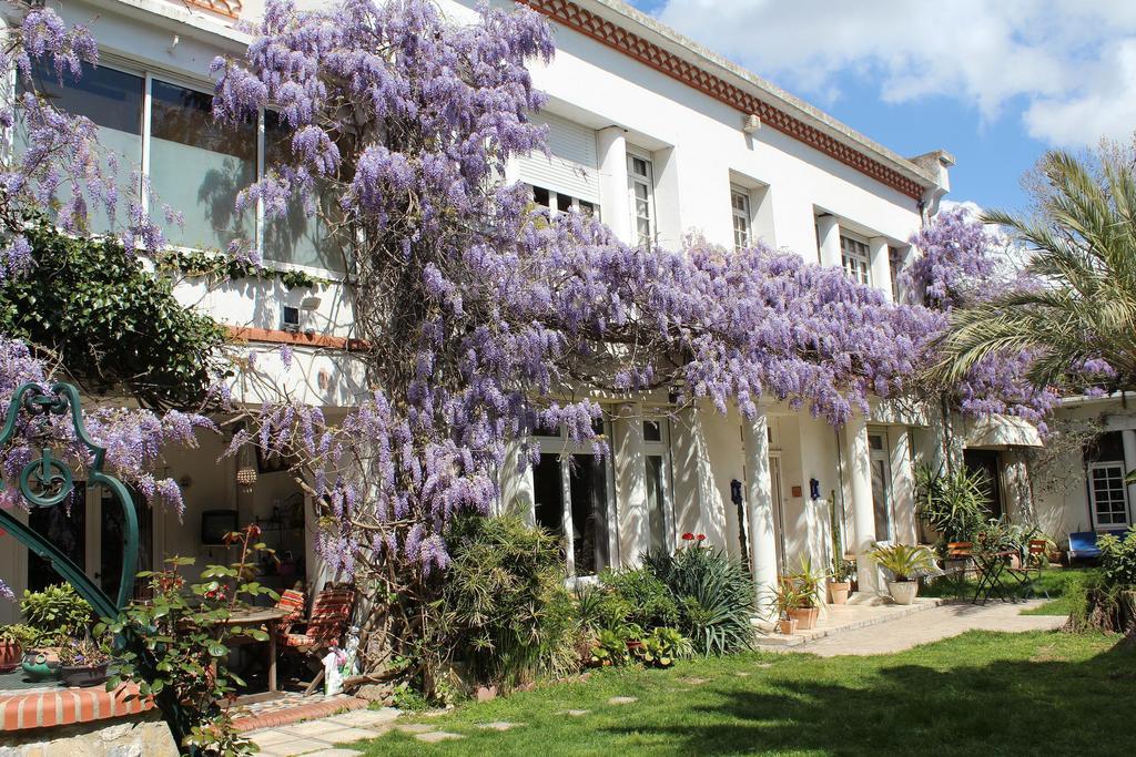 Bed and Breakfast Domaine Saint Nicolas Perpignan Exteriér fotografie